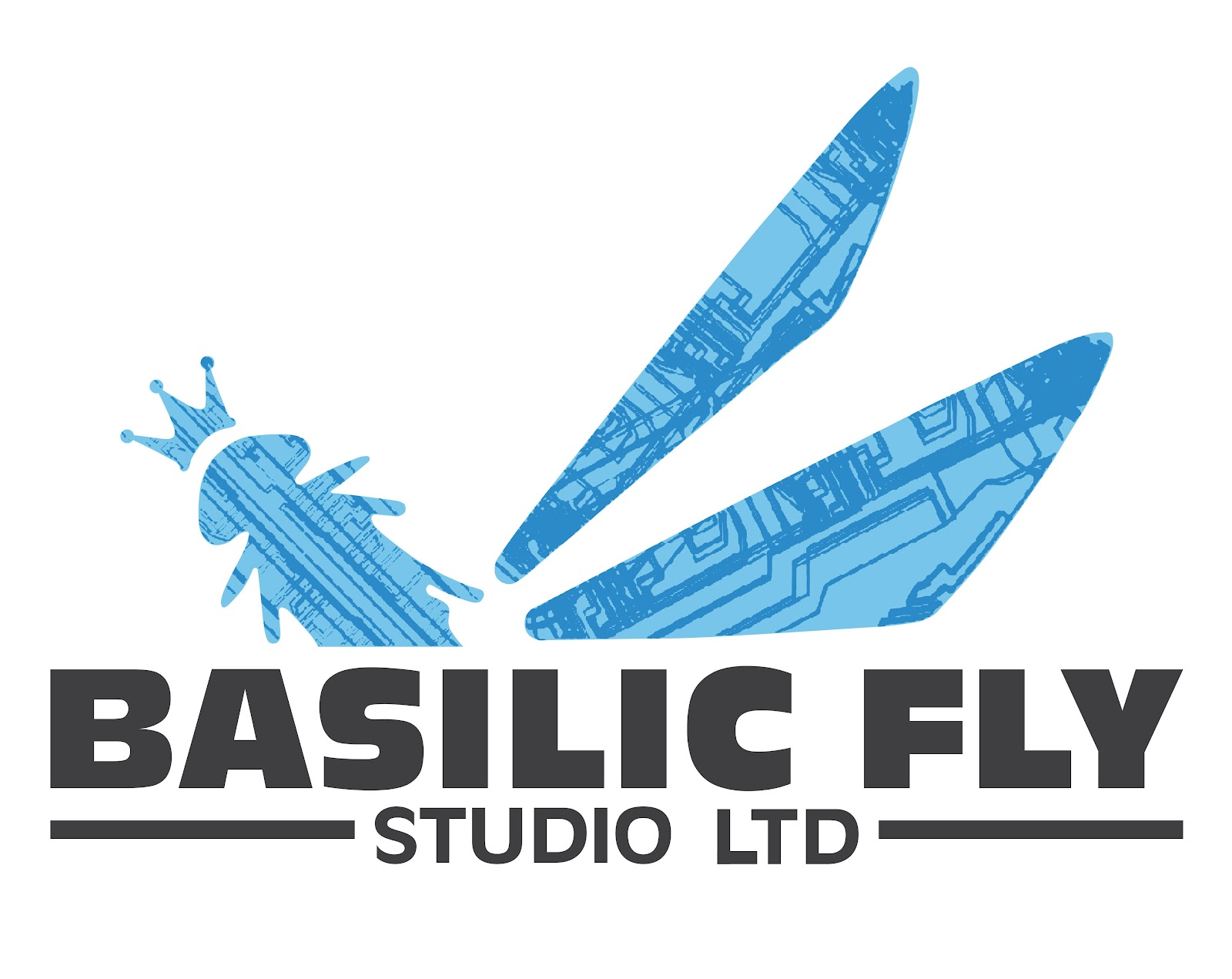 Basilic Fly Studio Limited